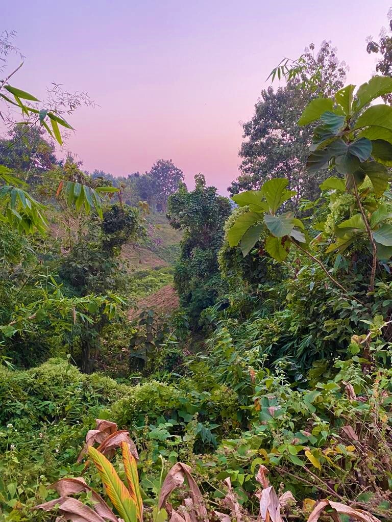 Site of Alpha Geo project in North East India